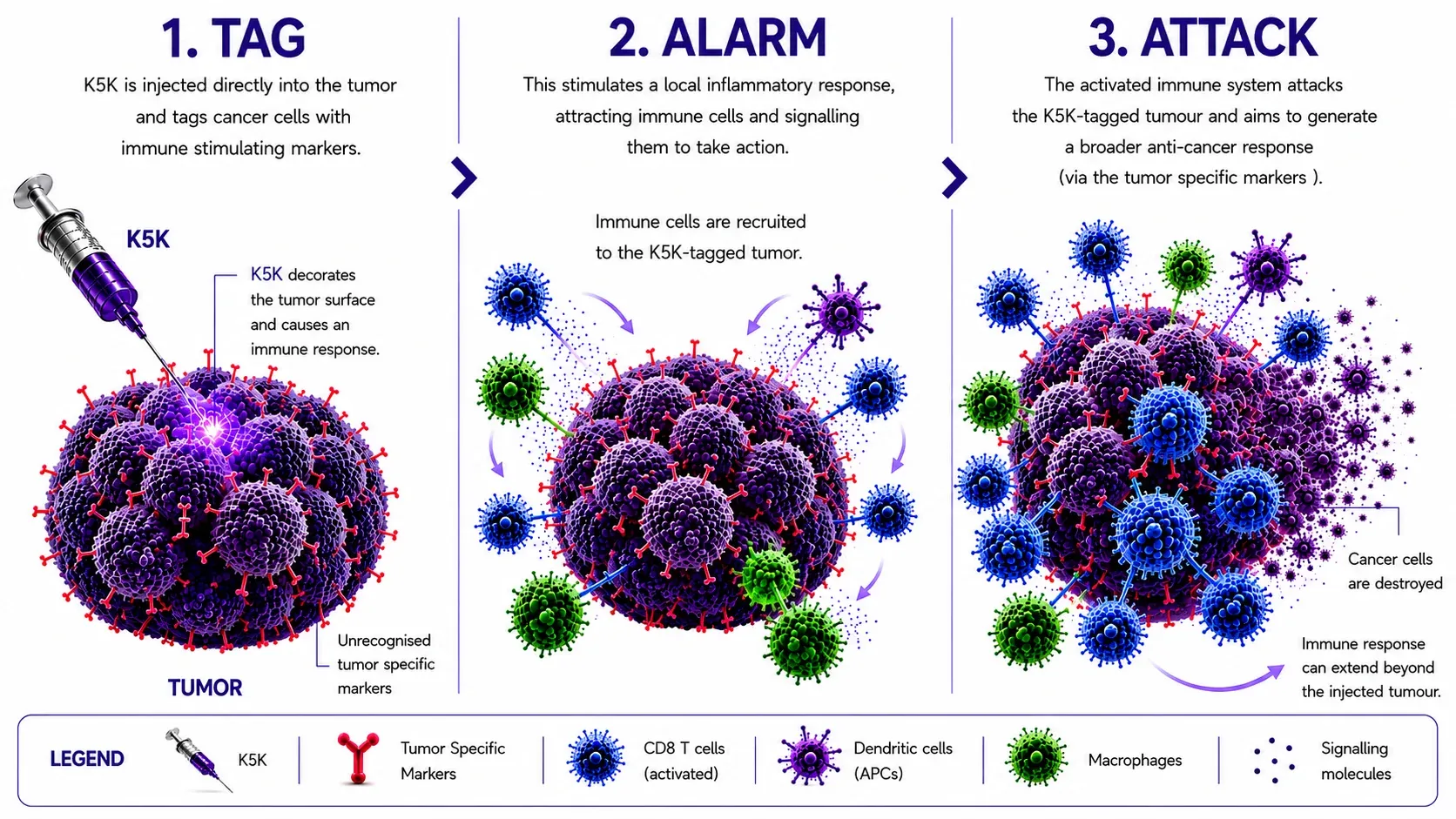 Tag, Alarm, Attack — the three-step K5K mechanism of action